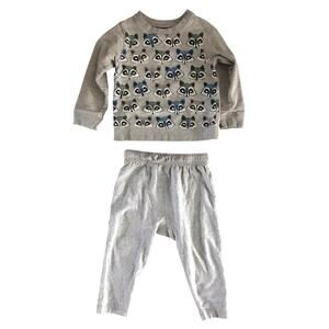 Tea Collection 2pc Raccoon Sweat Set Size 12-18mo